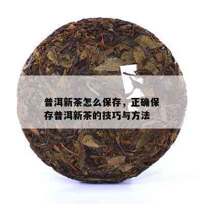 普洱新茶怎么保存，正确保存普洱新茶的技巧与方法