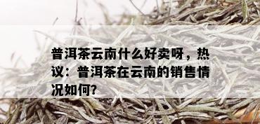 普洱茶云南什么好卖呀，热议：普洱茶在云南的销售情况如何？