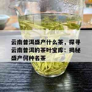 云南普洱盛产什么茶，探寻云南普洱的茶叶宝库：揭秘盛产何种名茶