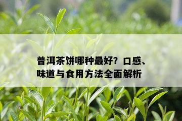 普洱茶饼哪种更好？口感、味道与食用方法全面解析