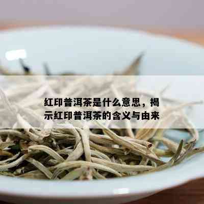 红印普洱茶是什么意思，揭示红印普洱茶的含义与由来