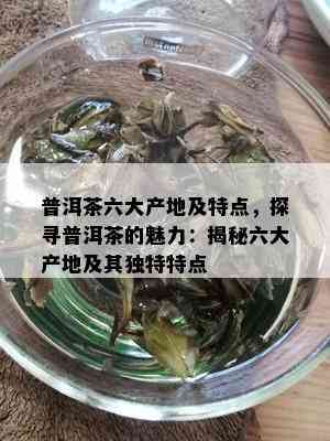 普洱茶六大产地及特点，探寻普洱茶的魅力：揭秘六大产地及其独特特点