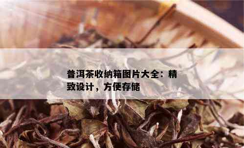 普洱茶收纳箱图片大全：精致设计，方便存储