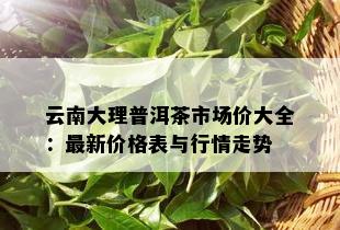 云南大理普洱茶市场价大全：最新价格表与行情走势