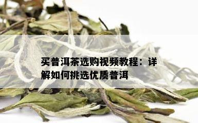 买普洱茶选购视频教程：详解如何挑选优质普洱