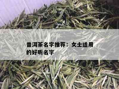 普洱茶名字推荐：女士适用的好听名字