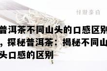 普洱茶不同山头的口感区别，探秘普洱茶：揭秘不同山头口感的区别