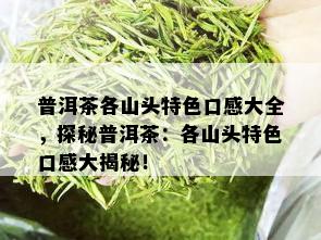 普洱茶各山头特色口感大全，探秘普洱茶：各山头特色口感大揭秘！