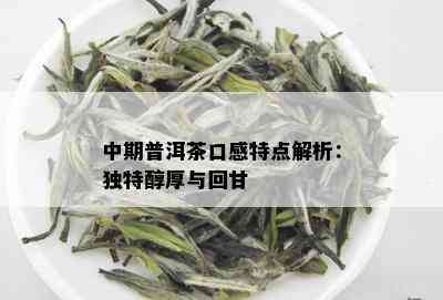 中期普洱茶口感特点解析：独特醇厚与回甘