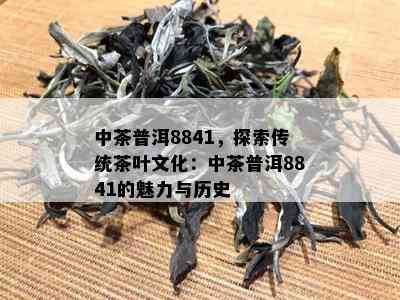 中茶普洱8841，探索传统茶叶文化：中茶普洱8841的魅力与历史