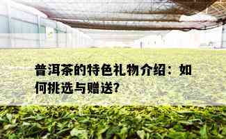 普洱茶的特色礼物介绍：如何挑选与赠送？