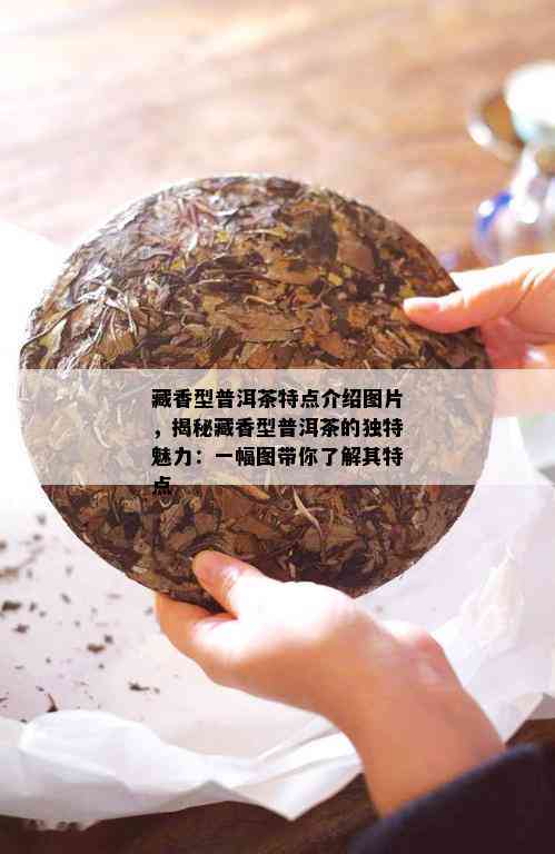 藏香型普洱茶特点介绍图片，揭秘藏香型普洱茶的独特魅力：一幅图带你了解其特点