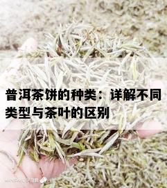 普洱茶饼的种类：详解不同类型与茶叶的区别