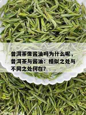 普洱茶像酱油吗为什么呢，普洱茶与酱油：相似之处与不同之处何在？