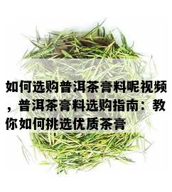 如何选购普洱茶膏料呢视频，普洱茶膏料选购指南：教你如何挑选优质茶膏