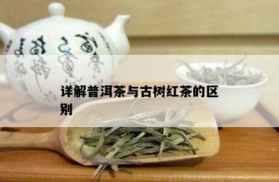 详解普洱茶与古树红茶的区别