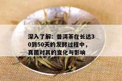 深入了解：普洱茶在长达30到50天的发酵过程中，真菌对其的变化与影响