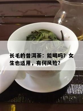 长毛的普洱茶：能喝吗？女生也适用，有何风险？