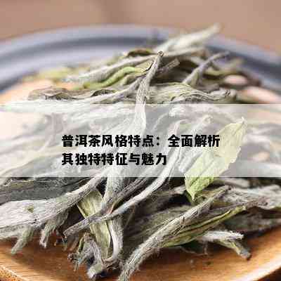 普洱茶风格特点：全面解析其独特特征与魅力