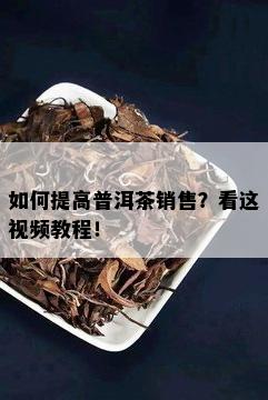 如何提高普洱茶销售？看这视频教程！