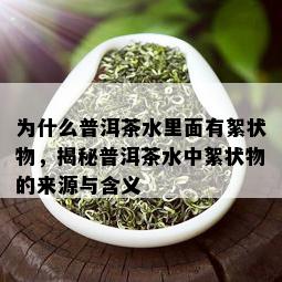 为什么普洱茶水里面有絮状物，揭秘普洱茶水中絮状物的来源与含义