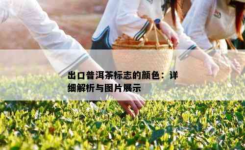 出口普洱茶标志的颜色：详细解析与图片展示