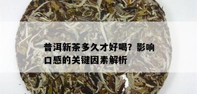 普洱新茶多久才好喝？影响口感的关键因素解析