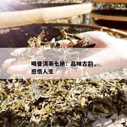 喝普洱茶七绝：品味古韵，感悟人生