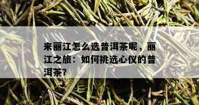 来丽江怎么选普洱茶呢，丽江之旅：如何挑选心仪的普洱茶？