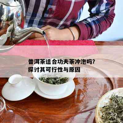 普洱茶适合功夫茶冲泡吗？探讨其可行性与原因