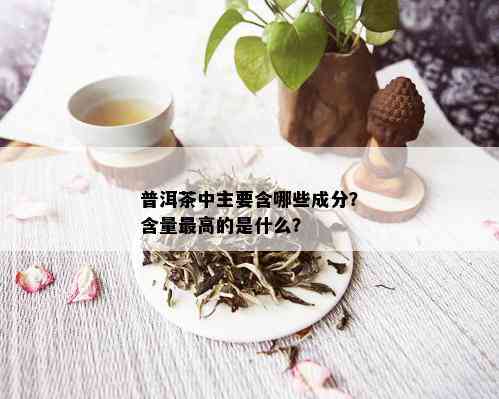 普洱茶中主要含哪些成分？含量更高的是什么？