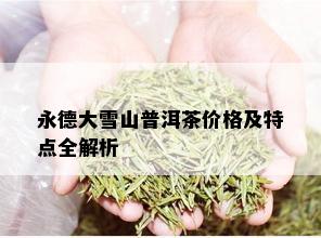 永德大雪山普洱茶价格及特点全解析