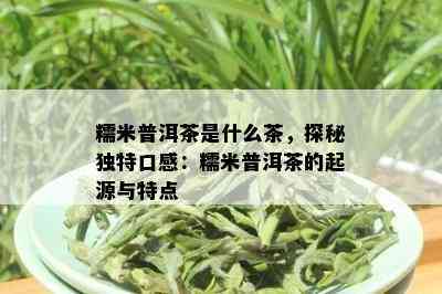 糯米普洱茶是什么茶，探秘独特口感：糯米普洱茶的起源与特点