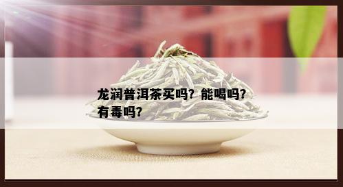 龙润普洱茶买吗？能喝吗？有吗？