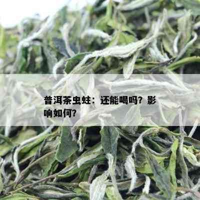 普洱茶虫蛀：还能喝吗？影响如何？