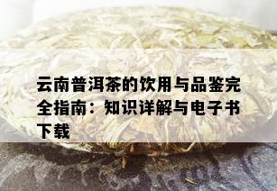 云南普洱茶的饮用与品鉴完全指南：知识详解与电子书下载