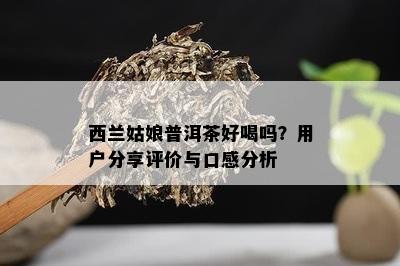 西兰姑娘普洱茶好喝吗？用户分享评价与口感分析