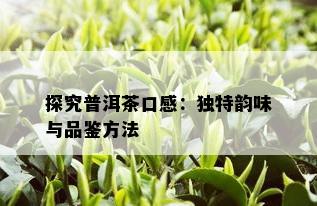 探究普洱茶口感：独特韵味与品鉴方法