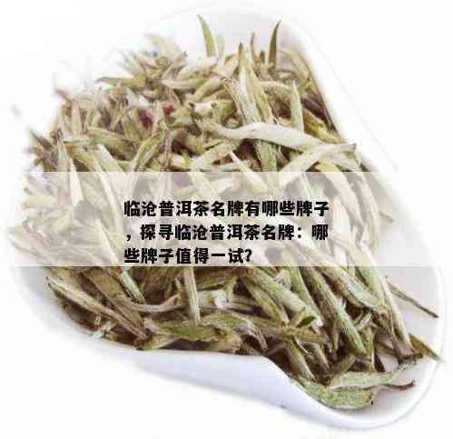 临沧普洱茶名牌有哪些牌子，探寻临沧普洱茶名牌：哪些牌子值得一试？