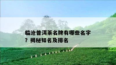 临沧普洱茶名牌有哪些名字？揭秘知名及排名