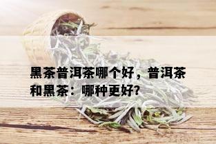 黑茶普洱茶哪个好，普洱茶和黑茶：哪种更好？