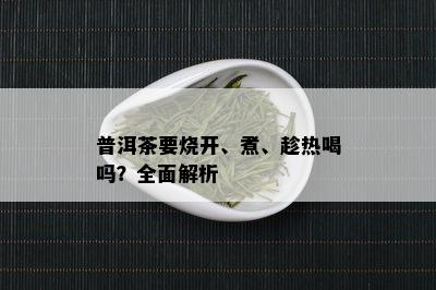 普洱茶要烧开、煮、趁热喝吗？全面解析