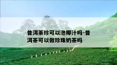 普洱茶珍可以泡椰汁吗-普洱茶可以做珍珠奶茶吗