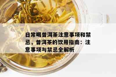 日常喝普洱茶注意事项和禁忌，普洱茶的饮用指南：注意事项与禁忌全解析