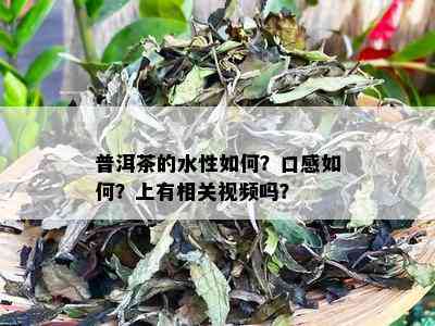 普洱茶的水性如何？口感如何？上有相关视频吗？