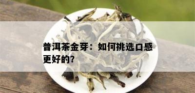 普洱茶金芽：如何挑选口感更好的？