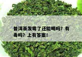 普洱茶发霉了还能喝吗？有吗？上有答案！