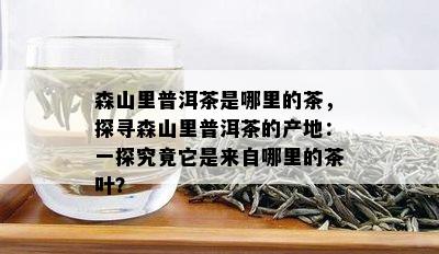 森山里普洱茶是哪里的茶，探寻森山里普洱茶的产地：一探究竟它是来自哪里的茶叶？