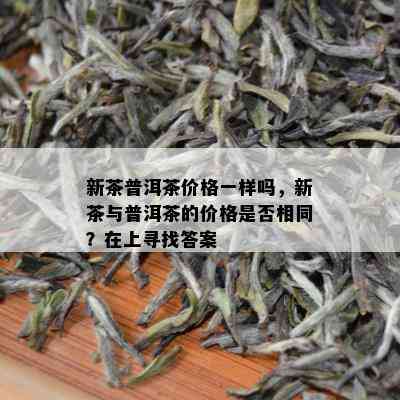 新茶普洱茶价格一样吗，新茶与普洱茶的价格是否相同？在上寻找答案