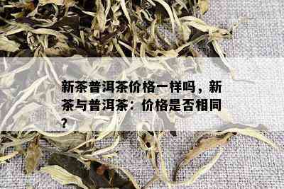 新茶普洱茶价格一样吗，新茶与普洱茶：价格是否相同？